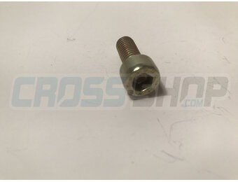 BOLT TCEI 8X20