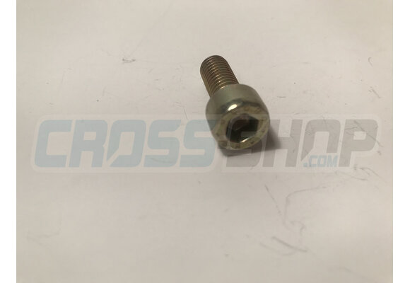 BOLT TCEI 8X20