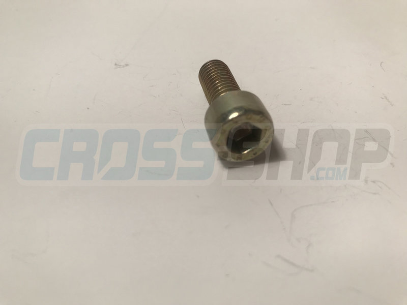 BOLT TCEI 8X20