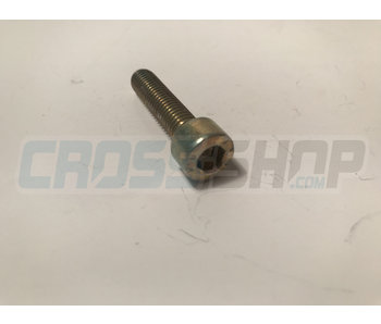 TM Moto BOLT TCEI 8X35