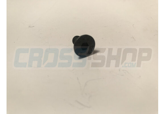 BOLT TSEI 6X12 UMB.