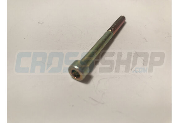 BOLT TCEI 5X55