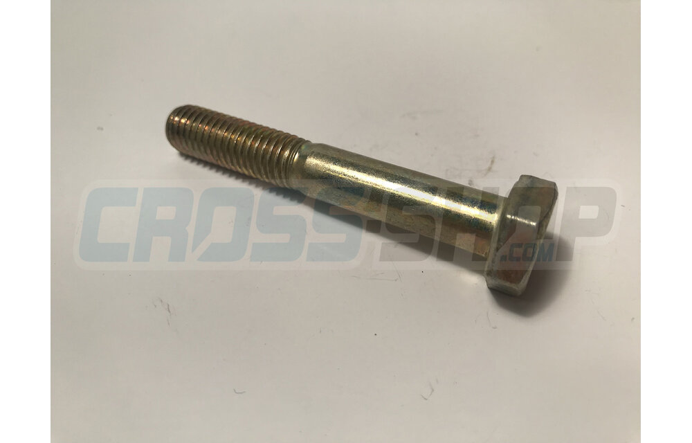 SCREW EH 10X65