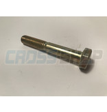 SCREW EH 10X65