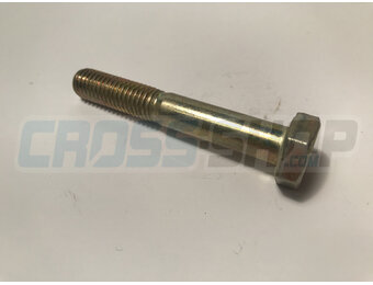 SCREW EH 10X65