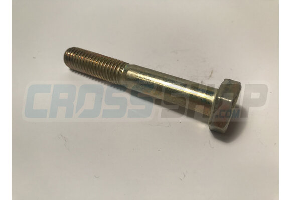 SCREW EH 10X65