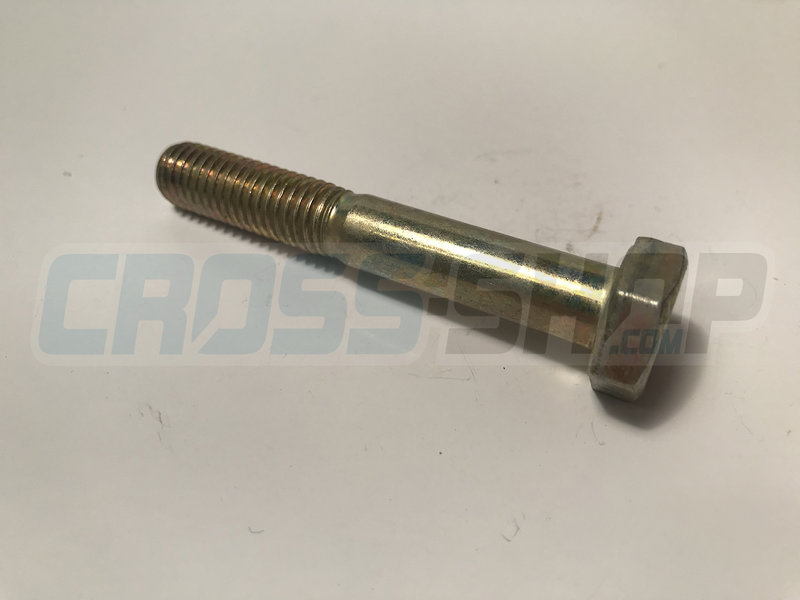 SCREW EH 10X65