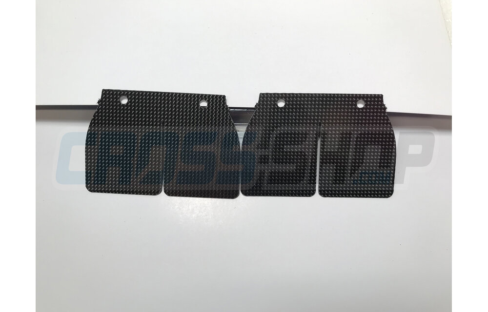 REEDS 250/300 V-FORCE 2 04/06