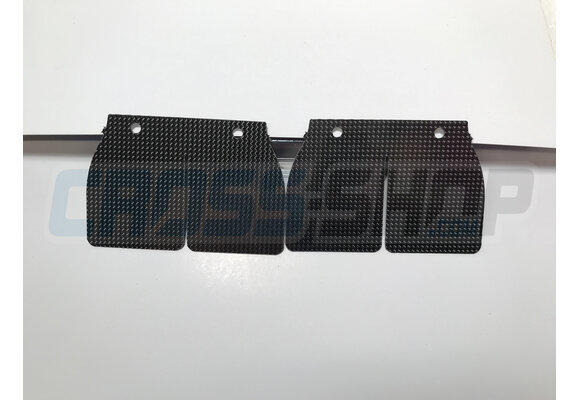 REEDS 250/300 V-FORCE 2 04/06