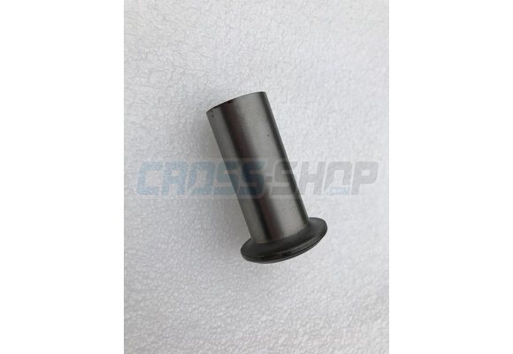 BUSH SWINGARM 08-> H.16 30X49