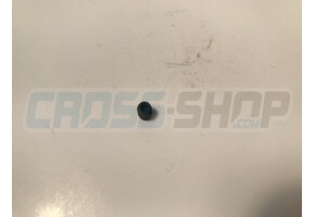 GRUB SCREW 5 X 6 INLET VALVE