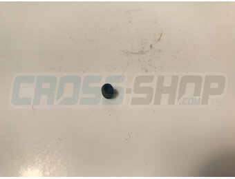 GRUB SCREW 5 X 6 INLET VALVE