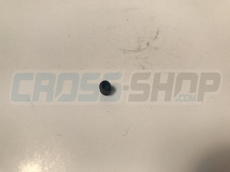 GRUB SCREW 5 X 6 INLET VALVE