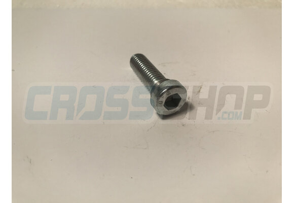 BOLT CHEI 8X25 UPPER CHAIN ROL