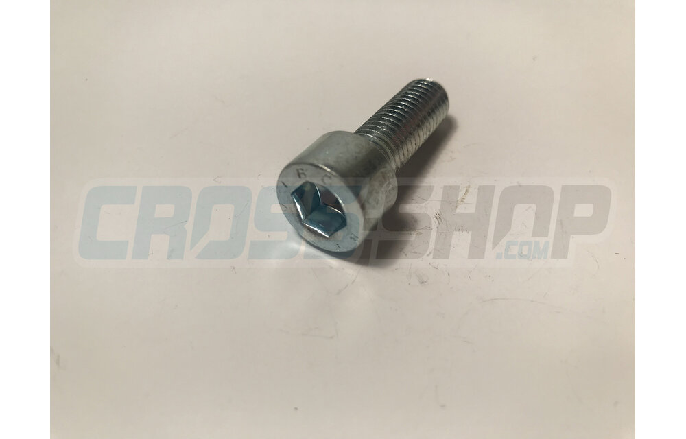BOLT TCEI 10X30