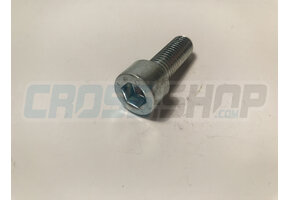 BOLT TCEI 10X30