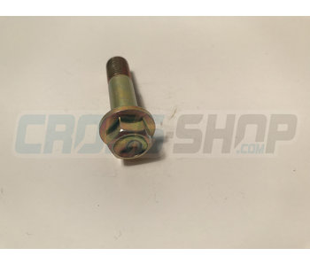 TM Moto BOLT M10X1.25X39 ALU.FRAME08