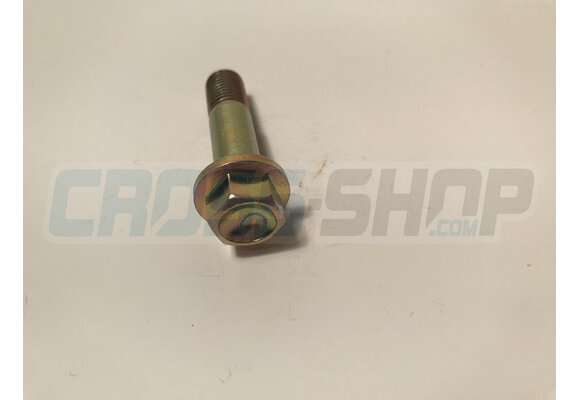 BOLT M10X1.25X39 ALU.FRAME08