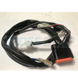 TM Moto WIRE ECU KOKUSAN 2S O8/10