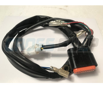 TM Moto WIRE ECU KOKUSAN 2S O8/10