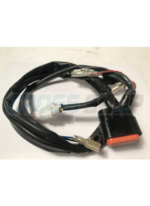 TM Moto WIRE ECU KOKUSAN 2S O8/10