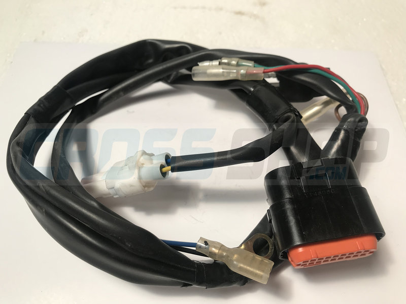 TM Moto WIRE ECU KOKUSAN 2S O8/10