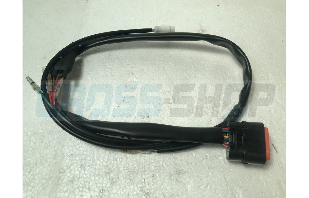 ECU WIRES KOKUSAN T.S. M.11->