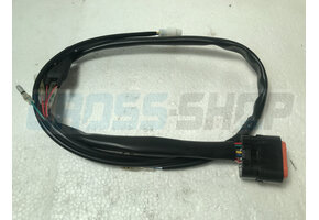 ECU WIRES KOKUSAN T.S. M.11->