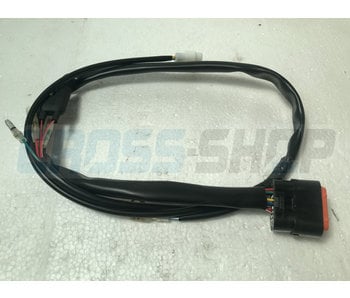 ECU WIRES KOKUSAN T.S. M.11->