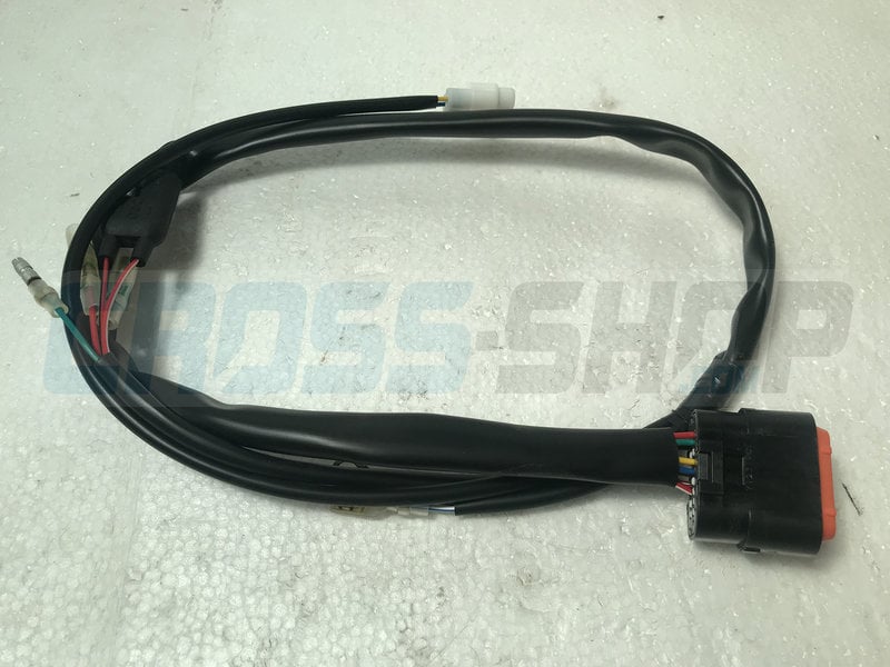 TM Racing ECU WIRES KOKUSAN T.S. M.11->