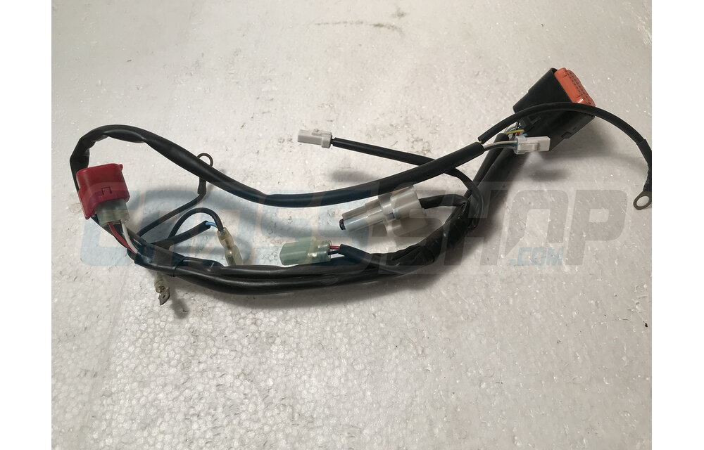WIRE. EXHA.VALVE T.S.250 MX/EN