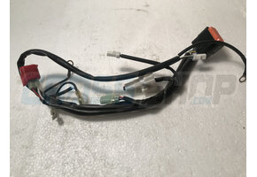 WIRE. EXHA.VALVE T.S.250 MX/EN