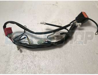 WIRE. EXHA.VALVE T.S.250 MX/EN