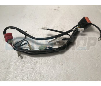 TM Moto WIRE. EXHA.VALVE T.S.250 MX/EN