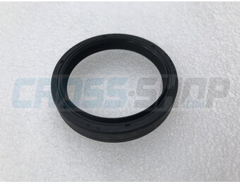 FORK OIL SEAL PAIOLI D.48mm