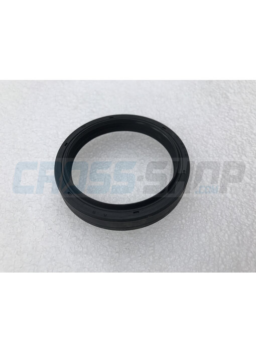 FORK OIL SEAL PAIOLI D.48mm