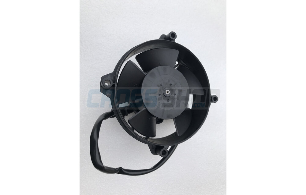 ELECTRIC FAN