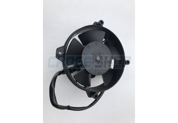 ELECTRIC FAN