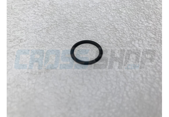 O-RING COVER WATER PUMP 250 4S