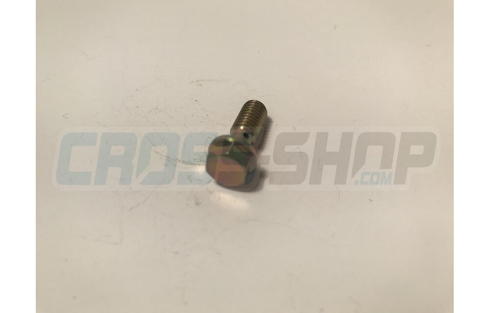 SCREW TE M6 SPEC. M.04