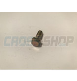 SCREW TE M6 SPEC. M.04