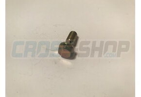 SCREW TE M6 SPEC. M.04