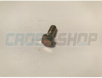 SCREW TE M6 SPEC. M.04