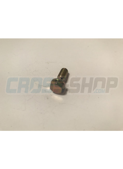 SCREW TE M6 SPEC. M.04