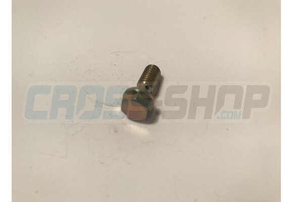 SCREW TE M6 SPEC. M.04