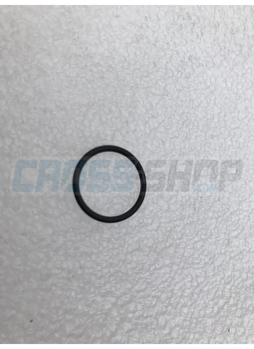 O RING FILTRO OLIO 250F