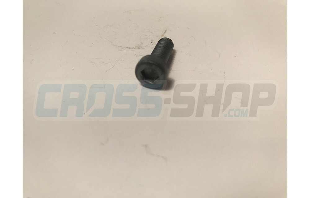 SCREW TCE 6 X 16