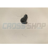 SCREW TCE 6 X 16
