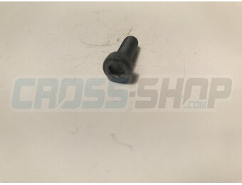 SCREW TCE 6 X 16