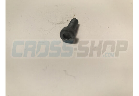SCREW TCE 6 X 16
